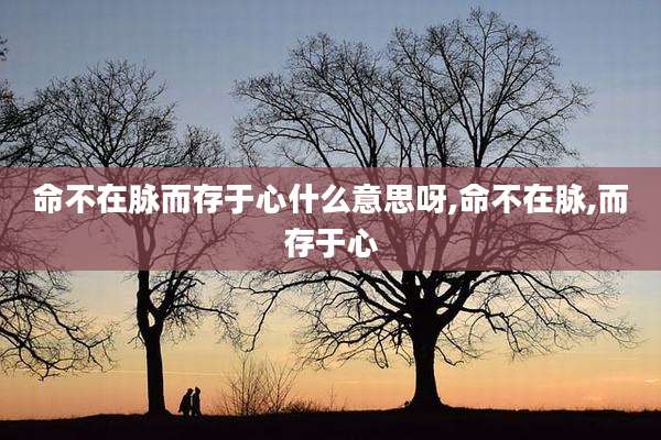 命不在脉而存于心什么意思呀,命不在脉,而存于心