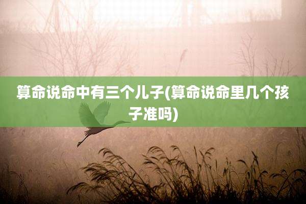 算命说命中有三个儿子(算命说命里几个孩子准吗)