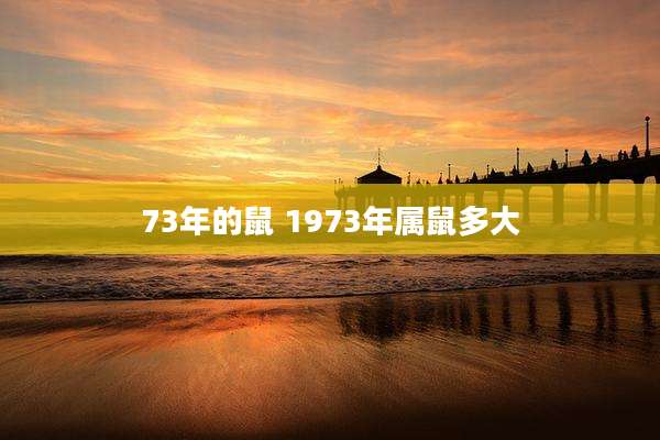 73年的鼠 1973年属鼠多大