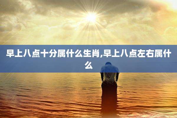 早上八点十分属什么生肖,早上八点左右属什么