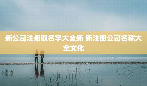 新公司注册取名字大全新 新注册公司名称大全文化