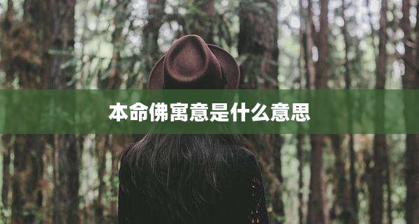本命佛寓意是什么意思