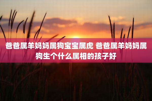 爸爸属羊妈妈属狗宝宝属虎 爸爸属羊妈妈属狗生个什么属相的孩子好