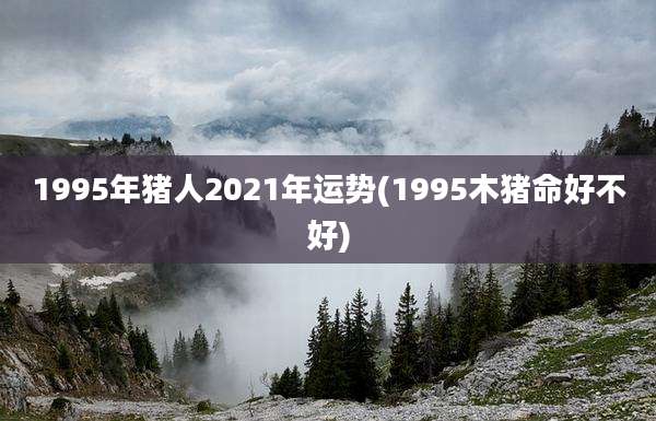1995年猪人2021年运势(1995木猪命好不好)
