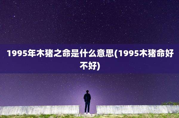 1995年木猪之命是什么意思(1995木猪命好不好)