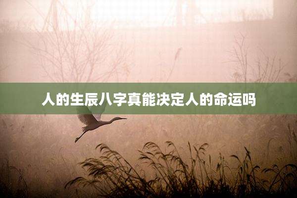 人的生辰八字真能决定人的命运吗