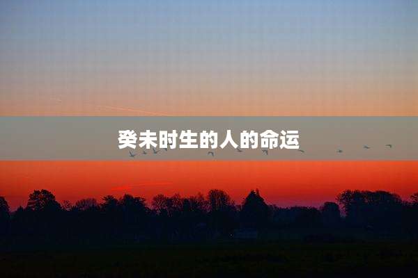 癸未时生的人的命运