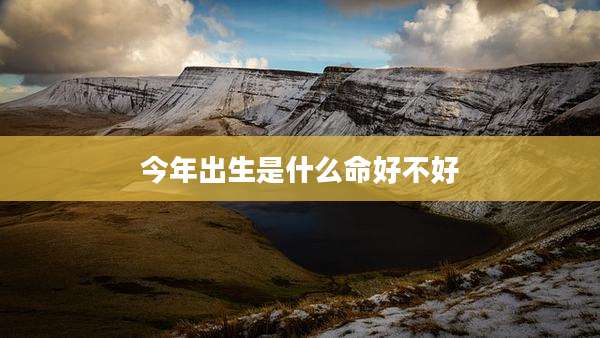 今年出生是什么命好不好