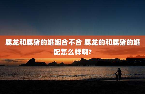 属龙和属猪的婚姻合不合 属龙的和属猪的婚配怎么样啊?