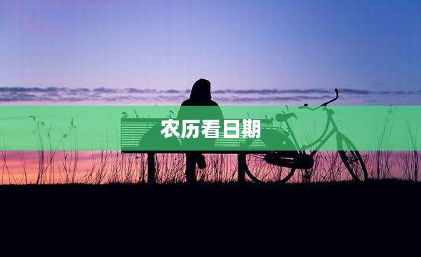 农历看日期
