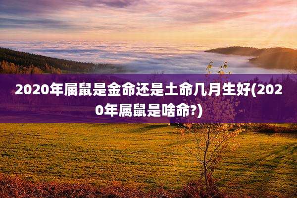 2020年属鼠是金命还是土命几月生好(2020年属鼠是啥命?)