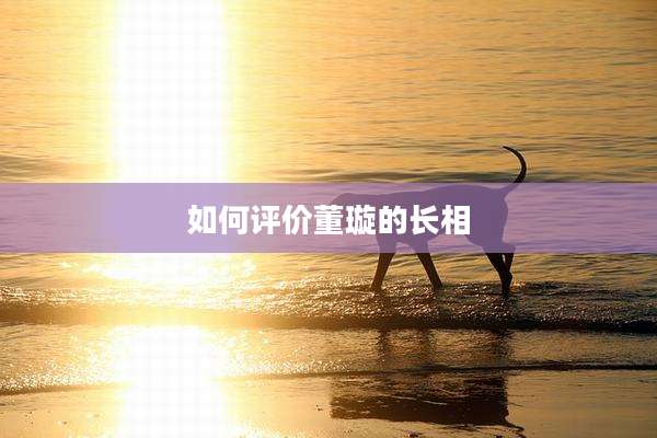 如何评价董璇的长相