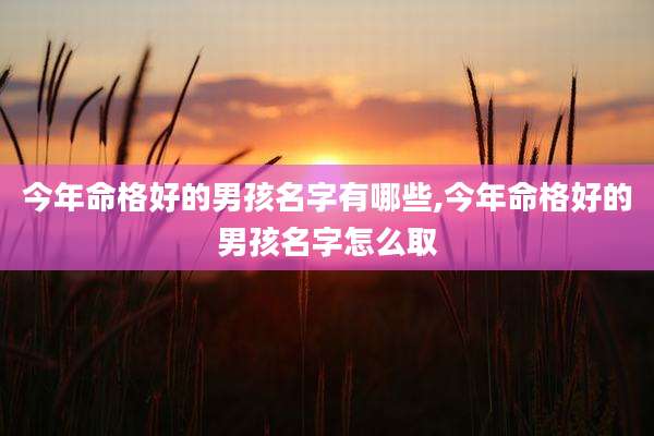今年命格好的男孩名字有哪些,今年命格好的男孩名字怎么取