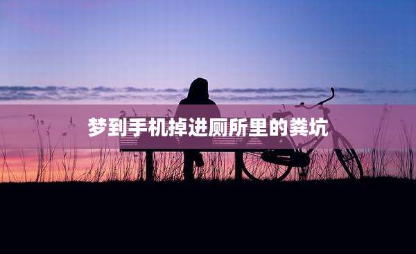 梦到手机掉进厕所里的粪坑