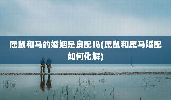 属鼠和马的婚姻是良配吗(属鼠和属马婚配如何化解)