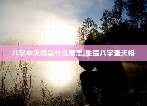 八字中天格是什么意思,生辰八字查天格