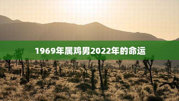 1969年属鸡男2022年的命运