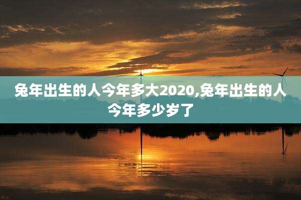 兔年出生的人今年多大2020,兔年出生的人今年多少岁了
