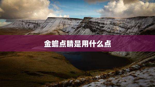 金蟾点睛是用什么点
