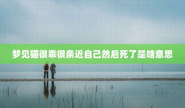 梦见猫很乖很亲近自己然后死了是啥意思