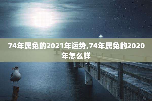 74年属兔的2021年运势,74年属兔的2020年怎么样