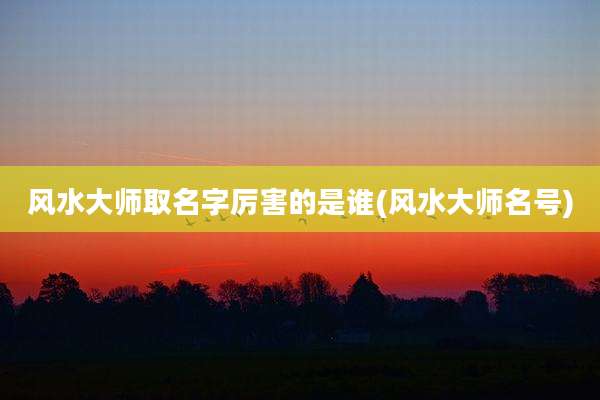 风水大师取名字厉害的是谁(风水大师名号)