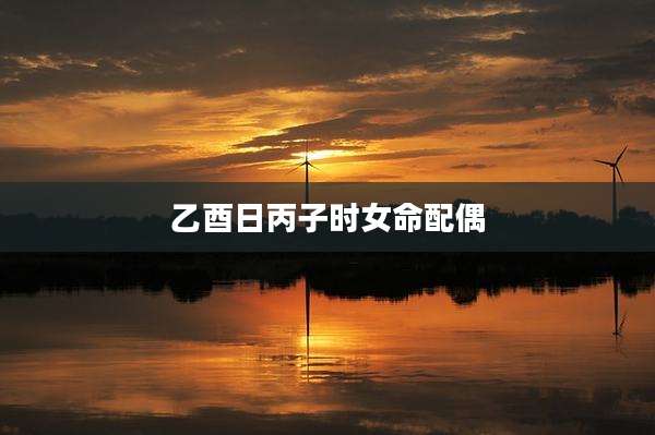 乙酉日丙子时女命配偶