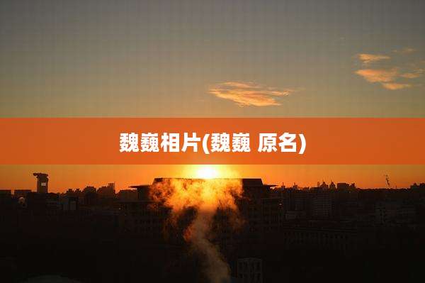 魏巍相片(魏巍 原名)