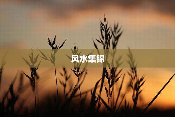 风水集锦