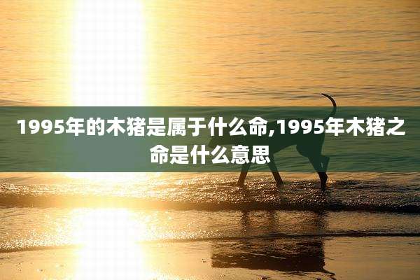 1995年的木猪是属于什么命,1995年木猪之命是什么意思