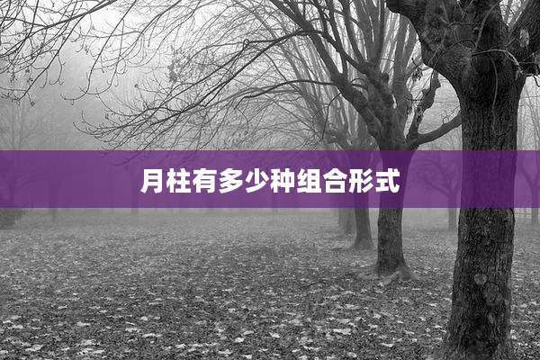 月柱有多少种组合形式