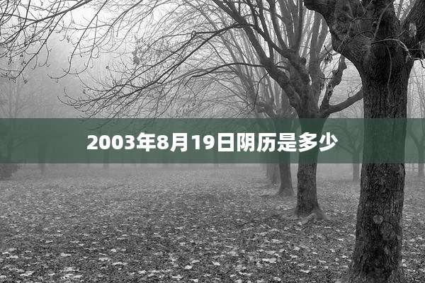 2003年8月19日阴历是多少