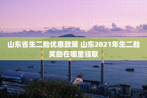山东省生二胎优惠政策 山东2021年生二胎奖励在哪里领取