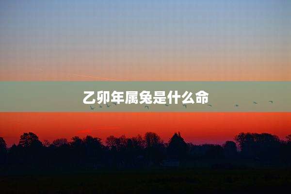 乙卯年属兔是什么命