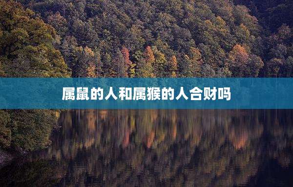属鼠的人和属猴的人合财吗