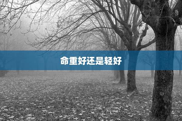 命重好还是轻好