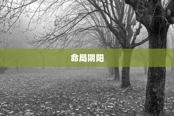 命局阴阳