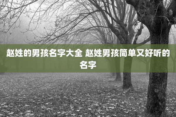 赵姓的男孩名字大全 赵姓男孩简单又好听的名字
