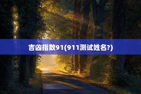 吉凶指数91(911测试姓名?)