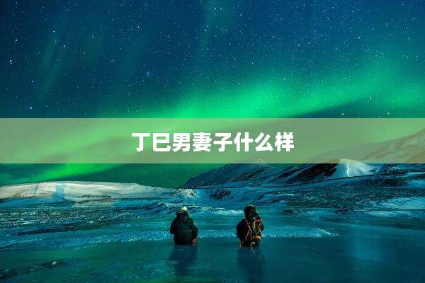 丁巳男妻子什么样
