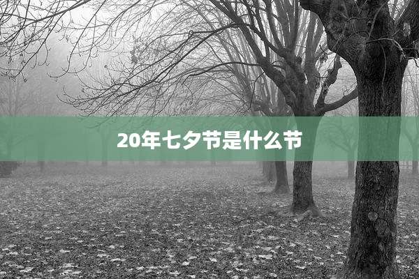 20年七夕节是什么节
