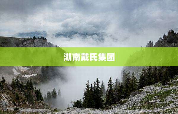 湖南戴氏集团