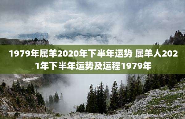 1979年属羊2020年下半年运势 属羊人2021年下半年运势及运程1979年