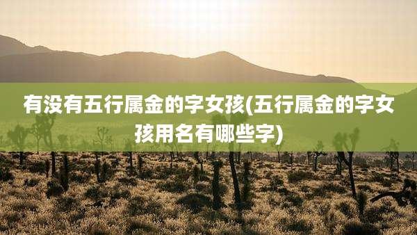 有没有五行属金的字女孩(五行属金的字女孩用名有哪些字)