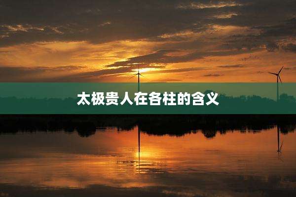 太极贵人在各柱的含义