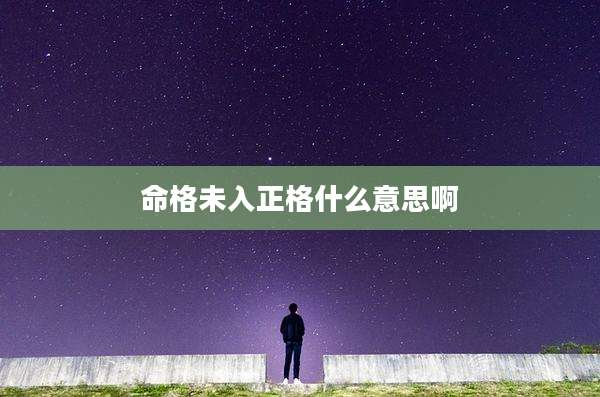 命格未入正格什么意思啊