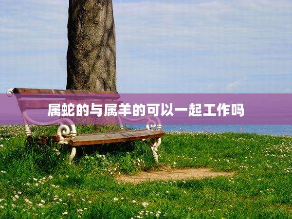 属蛇的与属羊的可以一起工作吗