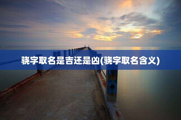 骁字取名是吉还是凶(骁字取名含义)