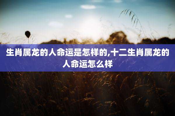 生肖属龙的人命运是怎样的,十二生肖属龙的人命运怎么样
