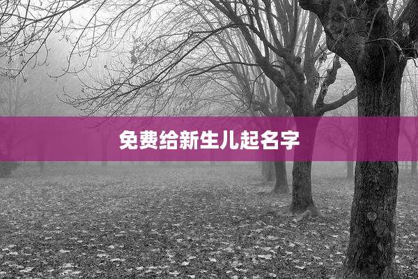 免费给新生儿起名字